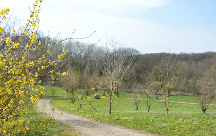 Wiosenny spacer po arboretum w Glinnej