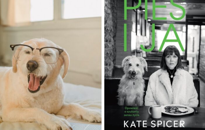 Kate Spicer. Lost dog