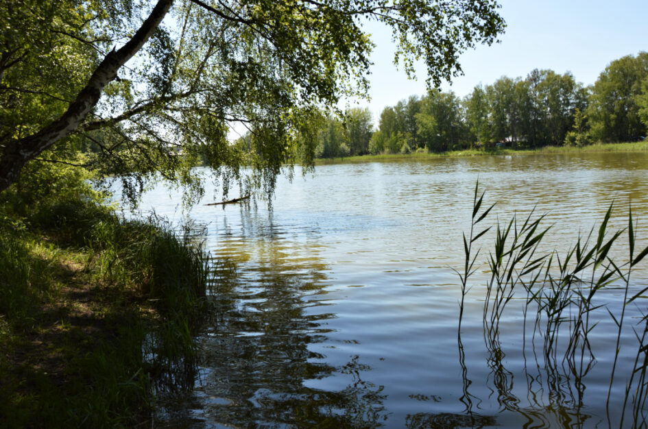 Jezioro Bartoszewo (lub: Bartoszewskie)