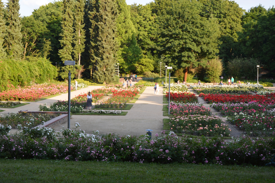 Park Kasprowicza Różanka