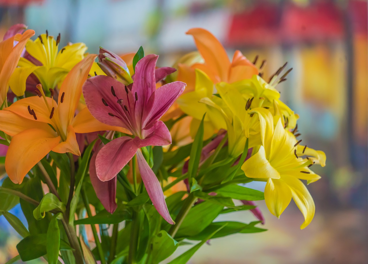 Letnie kwiaty: idealne do wazonu 