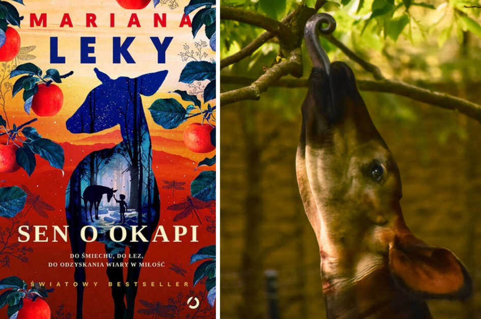 Recenzja: „Sen o okapi”, Mariana Leky