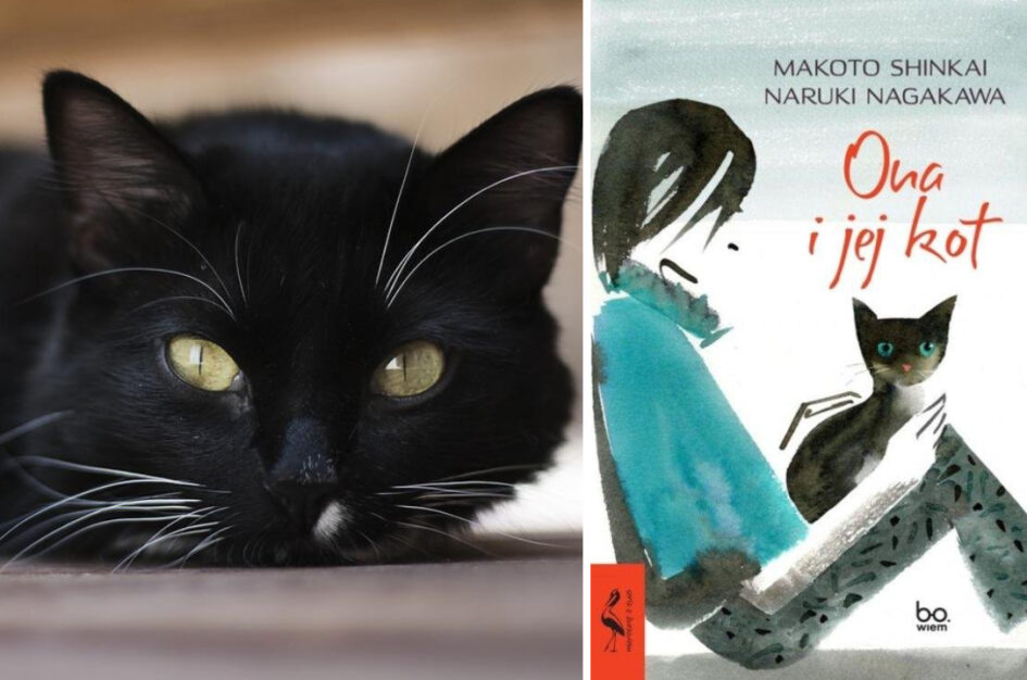 Recenzja: „Ona i jej kot”, Naruki Nagakawa i Makoto Shinkai
