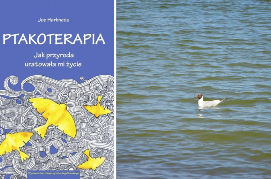 Recenzja: „Ptakoterapia. Jak przyroda uratowała mi życie” Joe Harkness