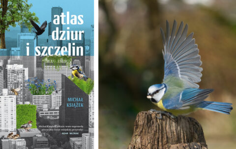 Recenzja: „Atlas dziur i szczelin” Michał Książek