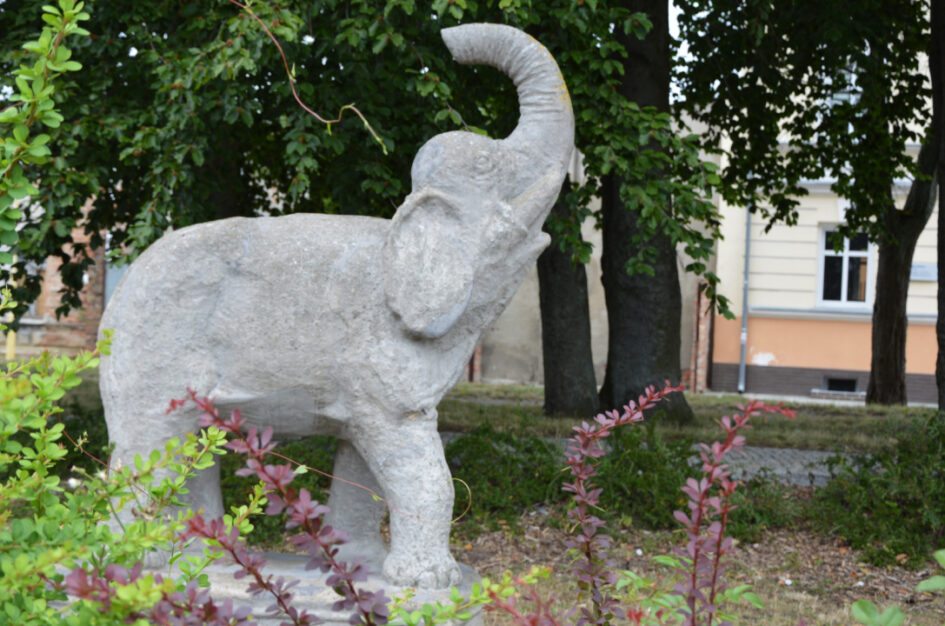 Spacerem przez szczecińskie Warszewo: słoń, panorama i przeszłość