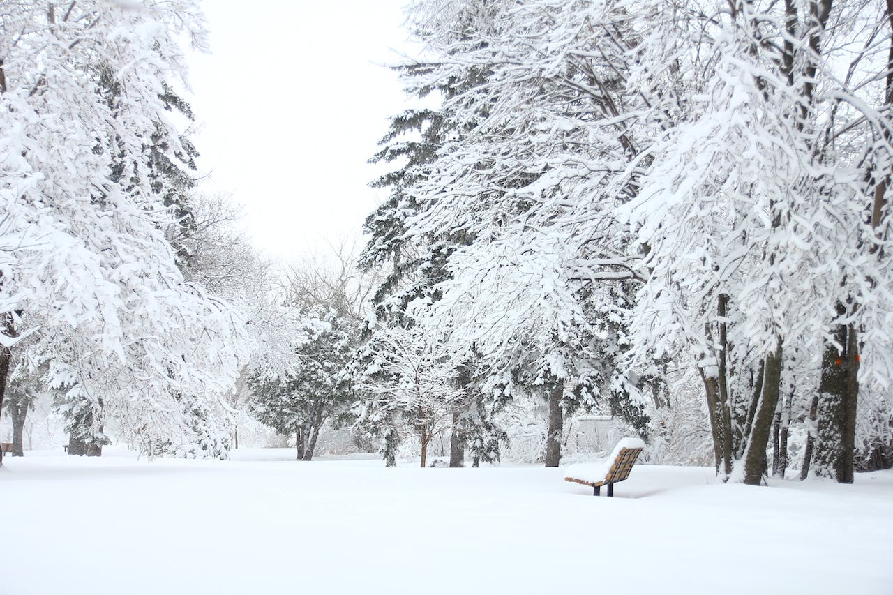Kontemplacja zimowego krajobrazu, czyli magia przyrody w bieli 