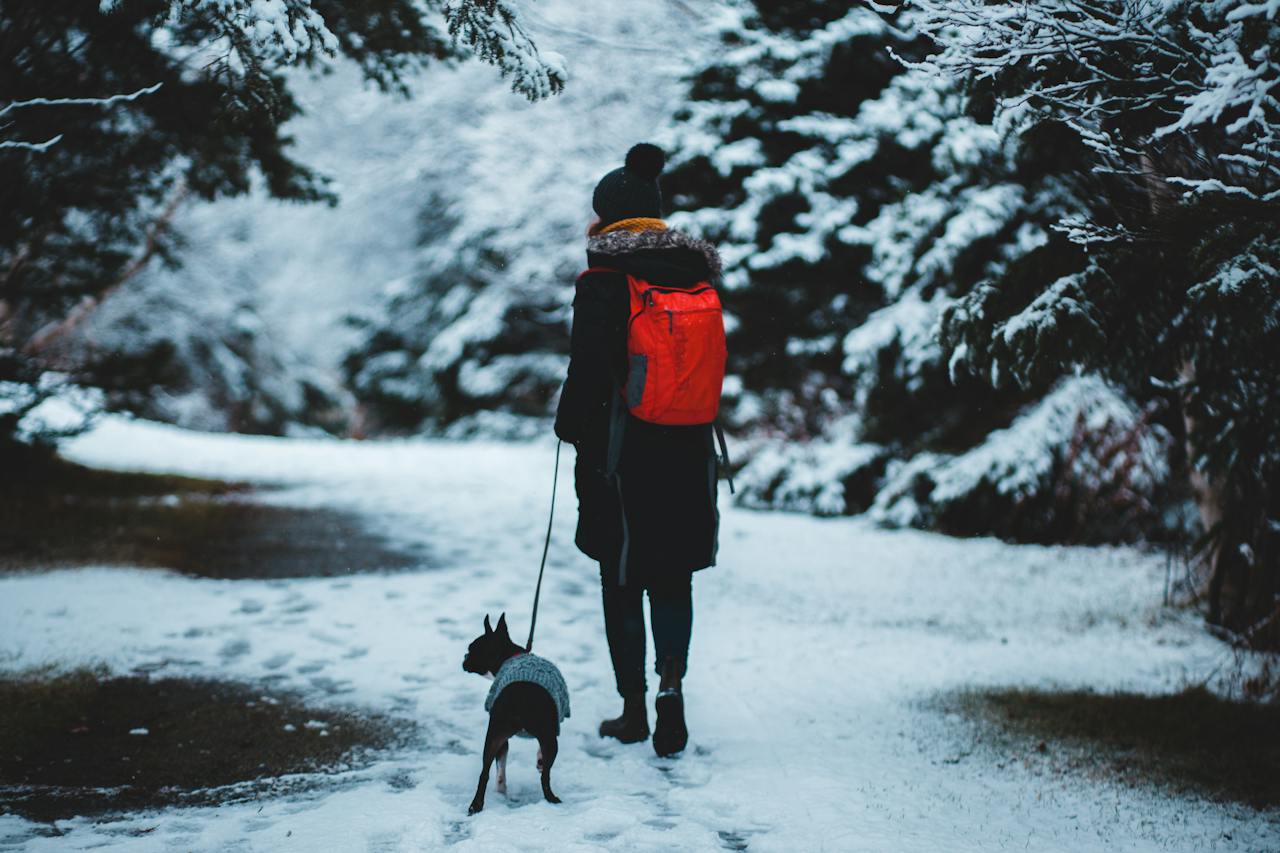 Wskazówki na zimowy spacer