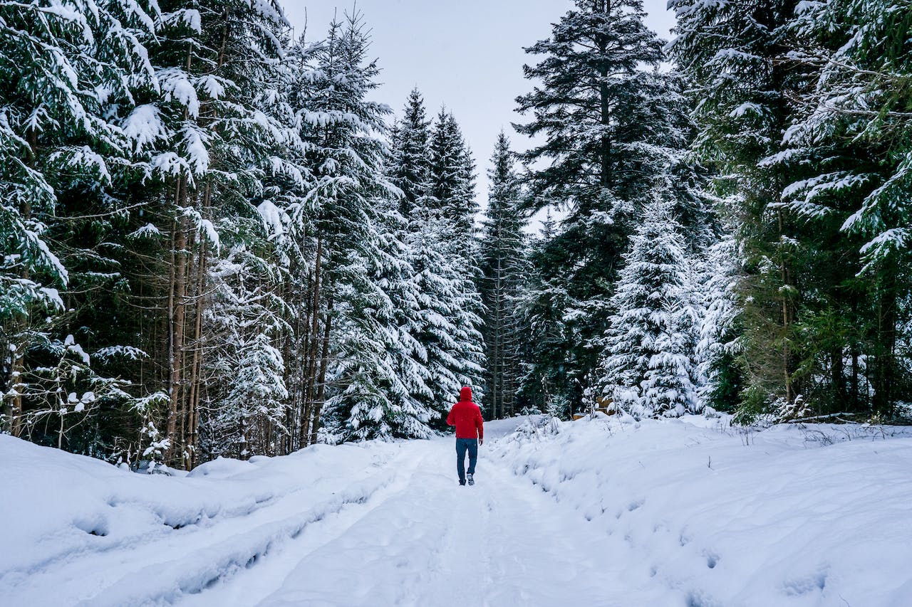 Jak się przygotować na zimowy spacer?