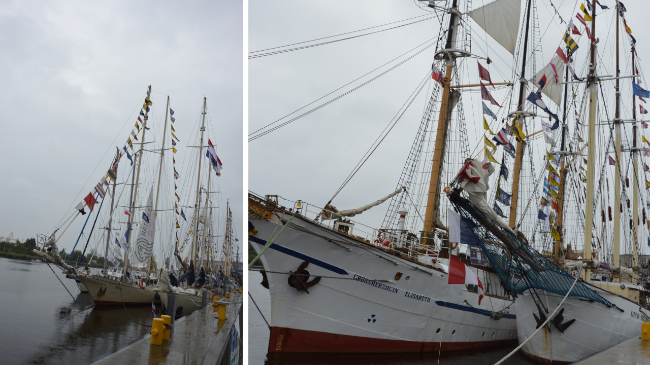 The Tall Ships Races w Szczecinie