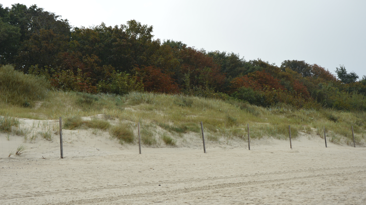 nadmorska plaża w Darłowie