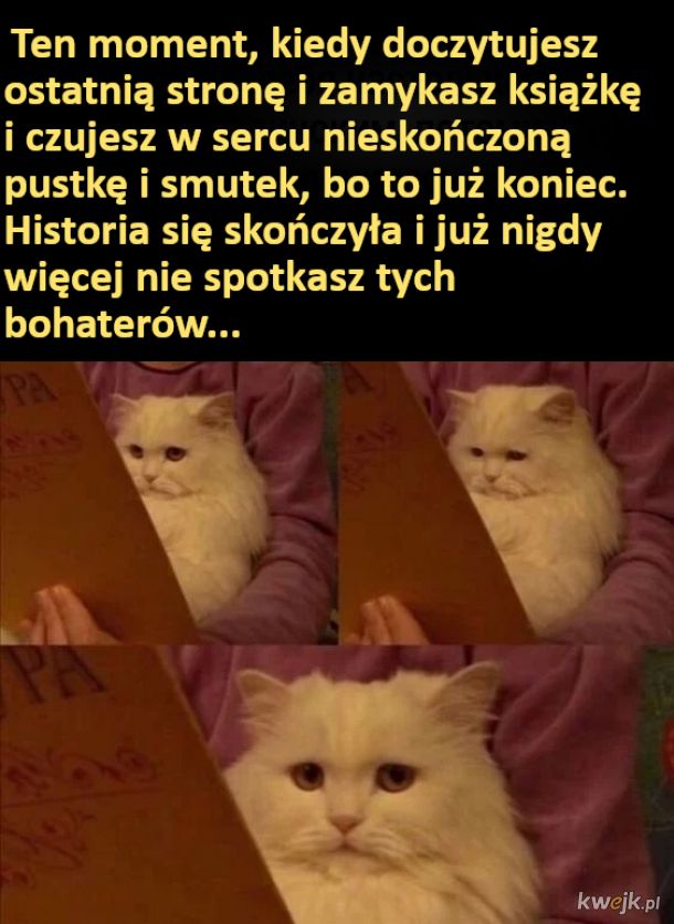 Książkowe memy