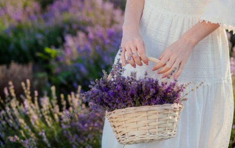 Lavender Girl Lawendowy trend