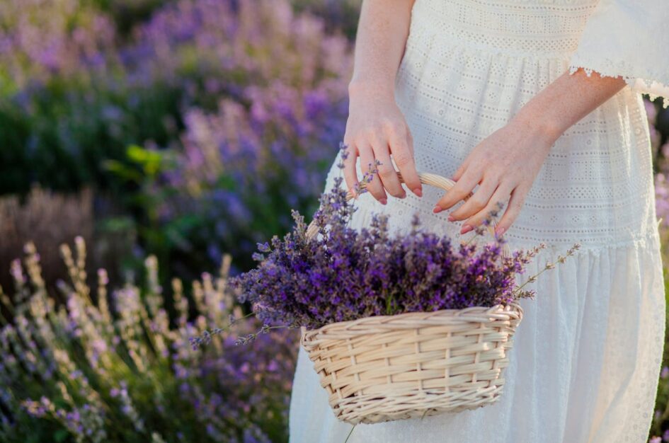 Lavender Girl Summer – letni trend w kolorze lawendy 1 Lavender Girl Lawendowy trend