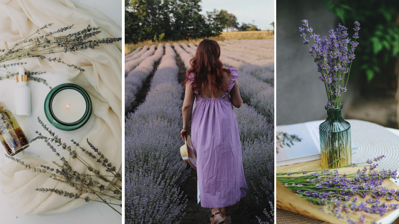 Lavender Girl Summer – letni trend w kolorze lawendy 4 Lavender Girl Summer letni trend w kolorze lawendy