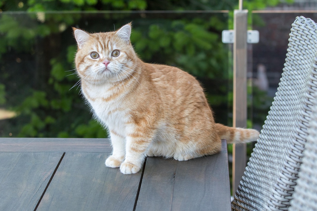 Balkon na lato. Jak stworzyć oazę relaksu w mieście? 8 Balkon na lato. Jak stworzyć oazę relaksu w mieście?
