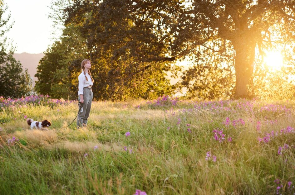 Kolorowy spacer: uważność, mindfulness i relaks w naturze 1 Kolorowy spacer: uważność, mindfulness i relaks w naturze