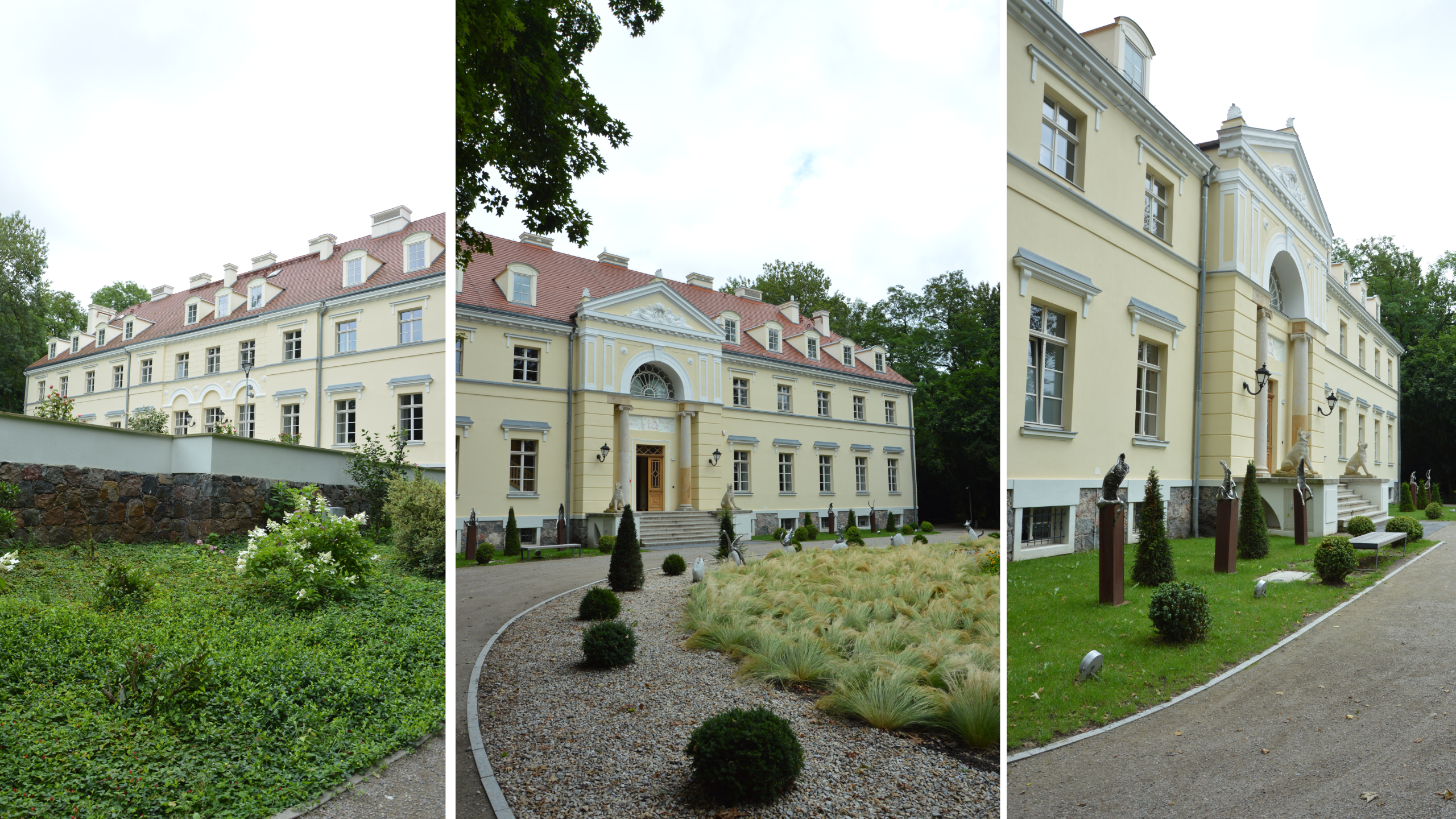 Magiczne zakątki Ogrodu Dendrologicznego w Przelewicach 20 Magiczne zakątki Ogrodu Dendrologicznego w Przelewicach