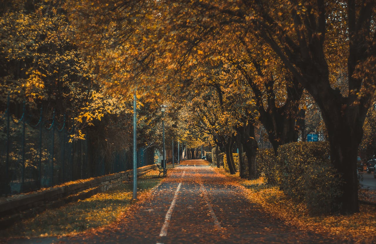 Dzień Spadającego Liścia – kartka z kalendarza 4 pierwszy dzień kalendarzowej jesieni