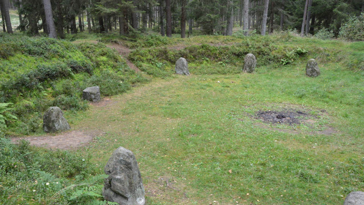Kamienne kręgi w Grzybnicy koło Koszalina 