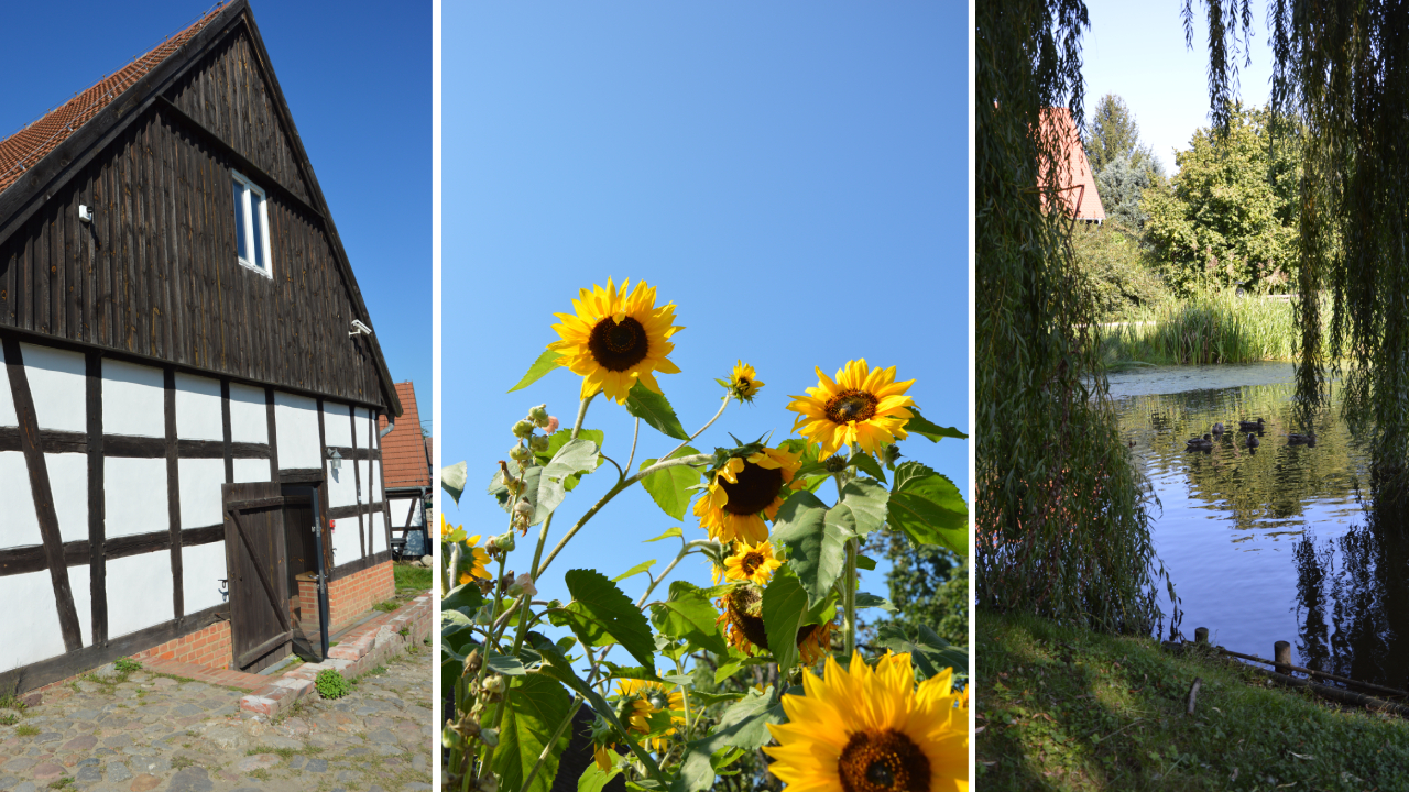 Sielskie Swołowo, czyli stolica Krainy w Kratę
