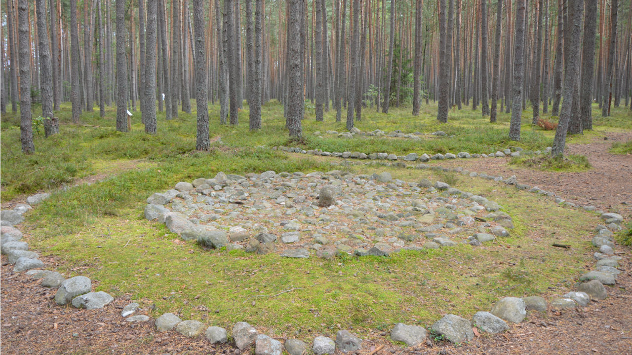 Kamienne kręgi w Grzybnicy koło Koszalina 