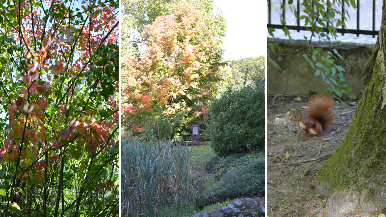 Jesienny Ogród Dendrologiczny w Glinnej