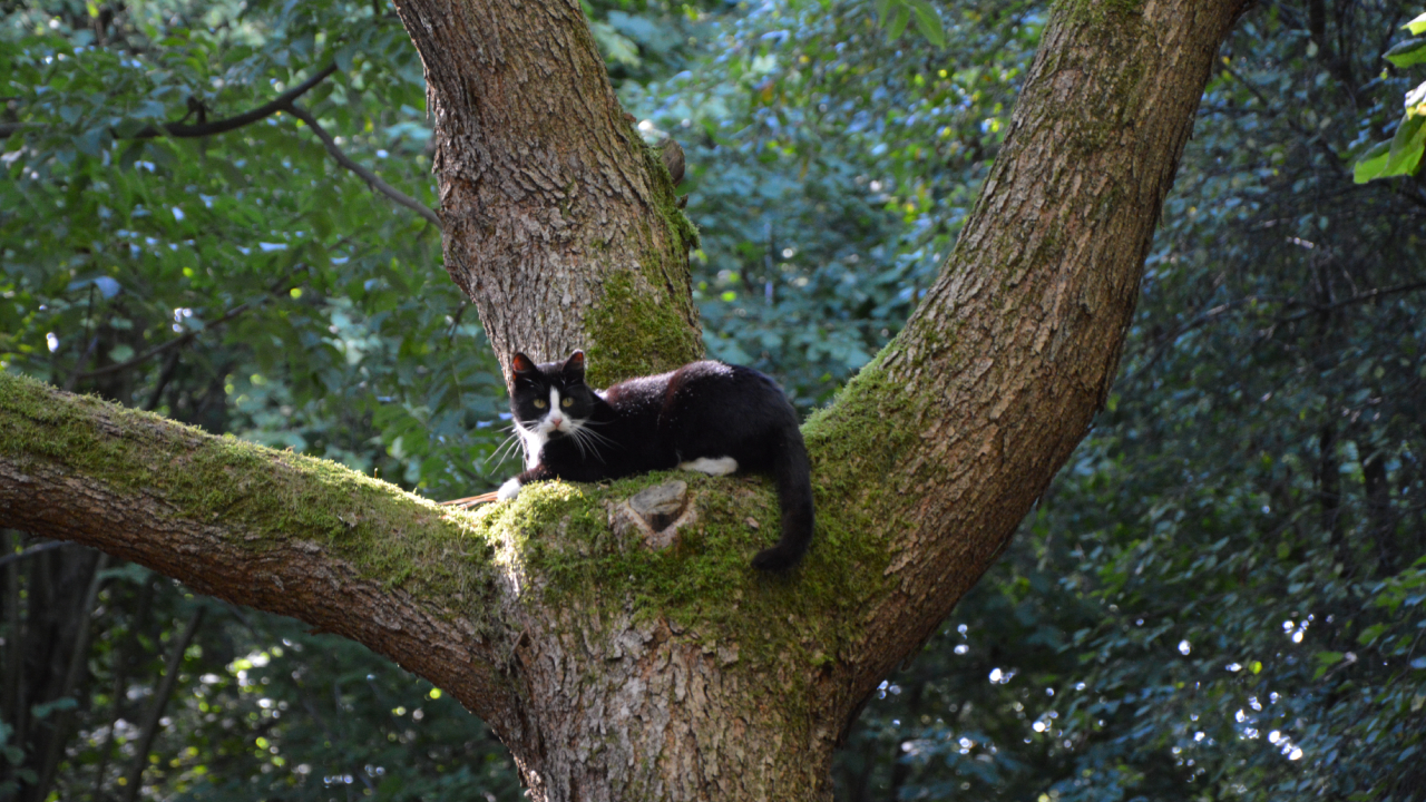 Ogród Dendrologiczny w Glinnej jesienią