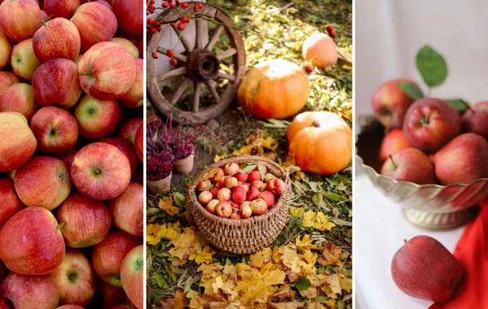 Jesienne dekoracje z jabłek: naturalne i efektowne inspiracje