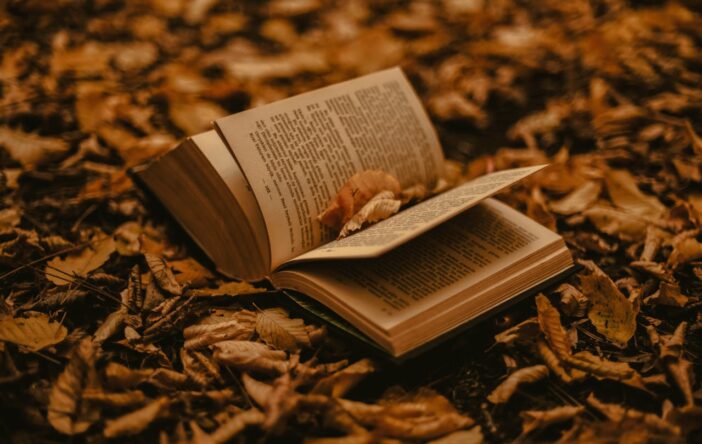 Książki na listopad, czyli literatura dla duszy