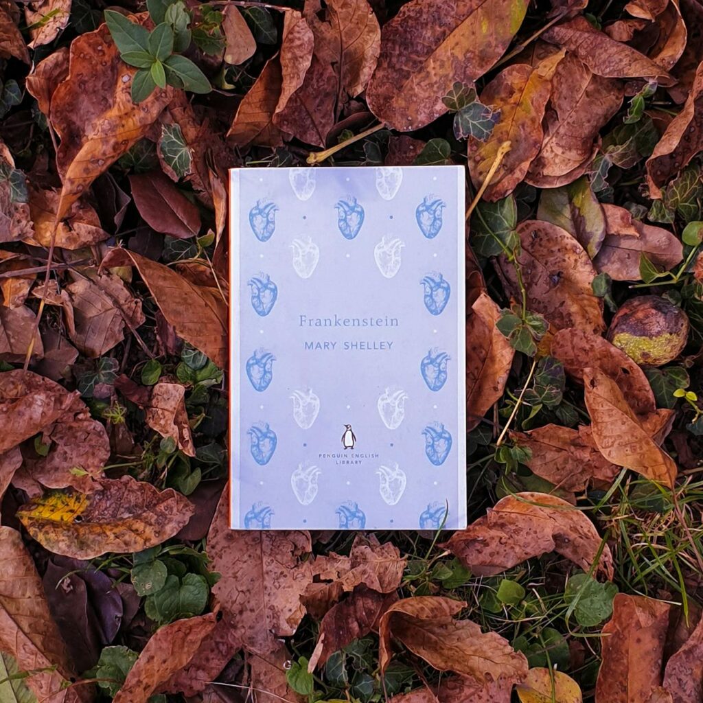Literackie ciekawostki o Mary Shelley i powieści „Frankenstein” 2 Mary Shelley książka