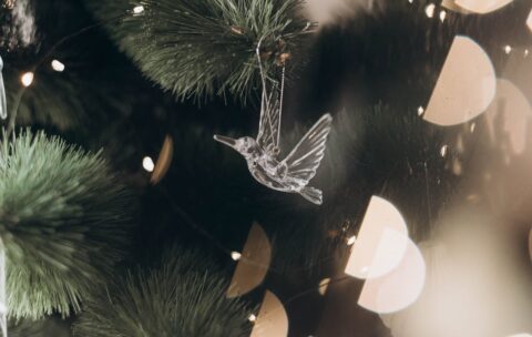 Bardzo smutna kolęda, Magda Umer, poezja i szara rzeczywistość 7 Bardzo smutna kolęda, Magda Umer, poezja i szara rzeczywistość