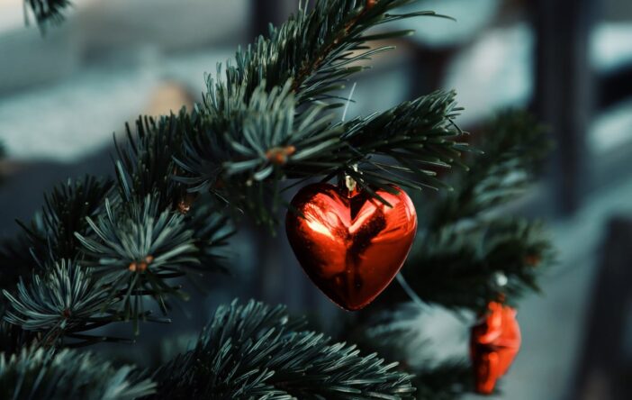 Życzenia świąteczne. Zdrowia, spokoju, ciepła!