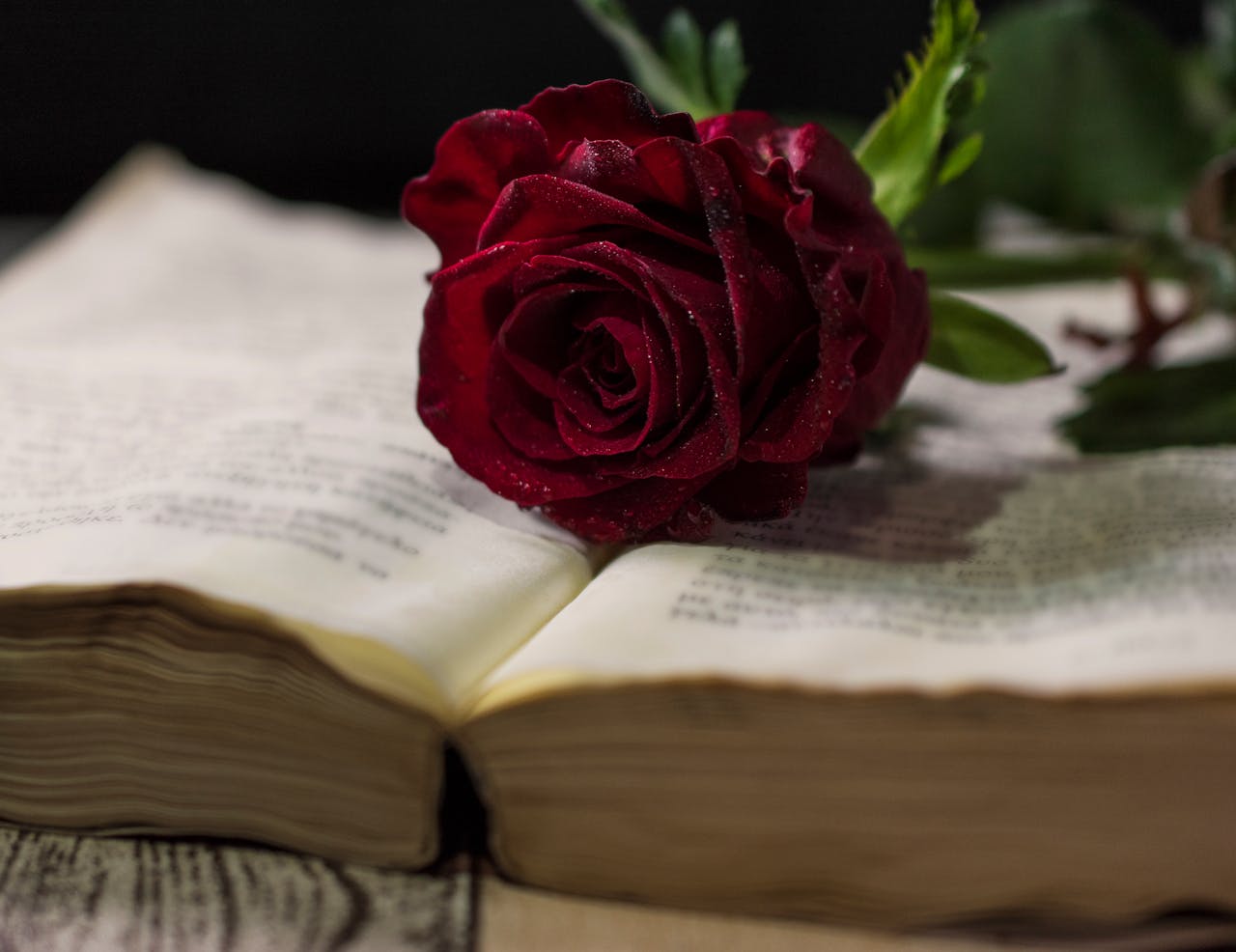 Tragiczne romanse w literaturze. Te klasyczne opowieści wciąż nas poruszają! 3 Tragiczne romanse w literaturze klasycznej. Książka i róża