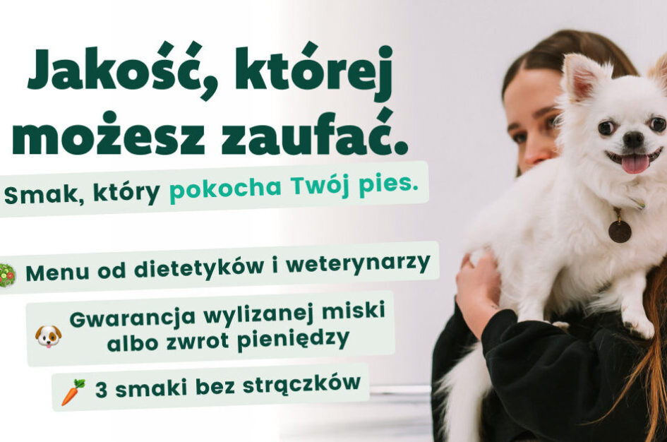 Starzejący się pies to nie „mniej jedzenia”, tylko inne potrzeby - jak podchodzi do tego Piesotto?