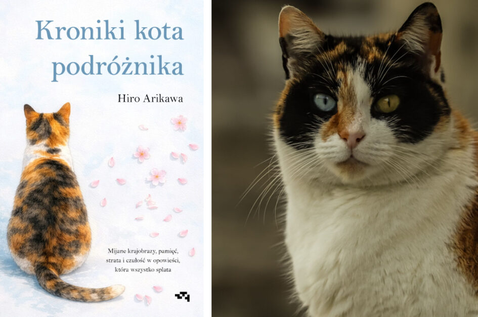 Recenzja: „Kroniki kota podróżnika” Hiro Arikawa