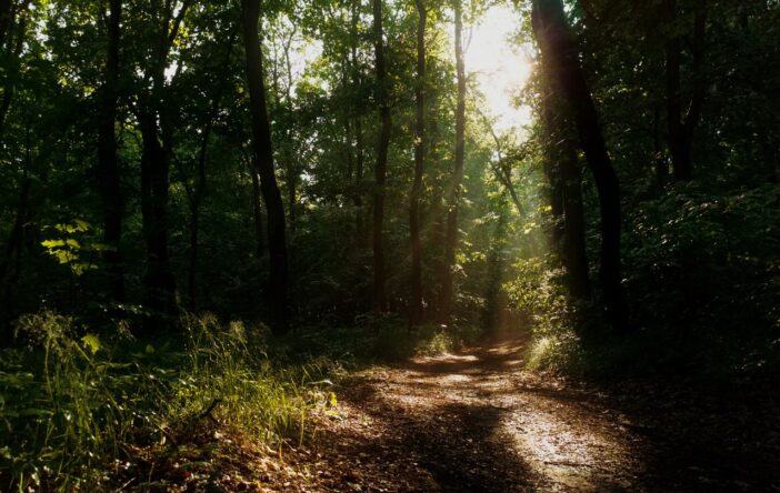 Magiczne miejsca na Pomorzu Zachodnim – wyglądają jak z baśni!